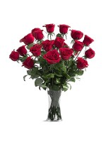 2 Dozen Red Roses Arrange In Vase 